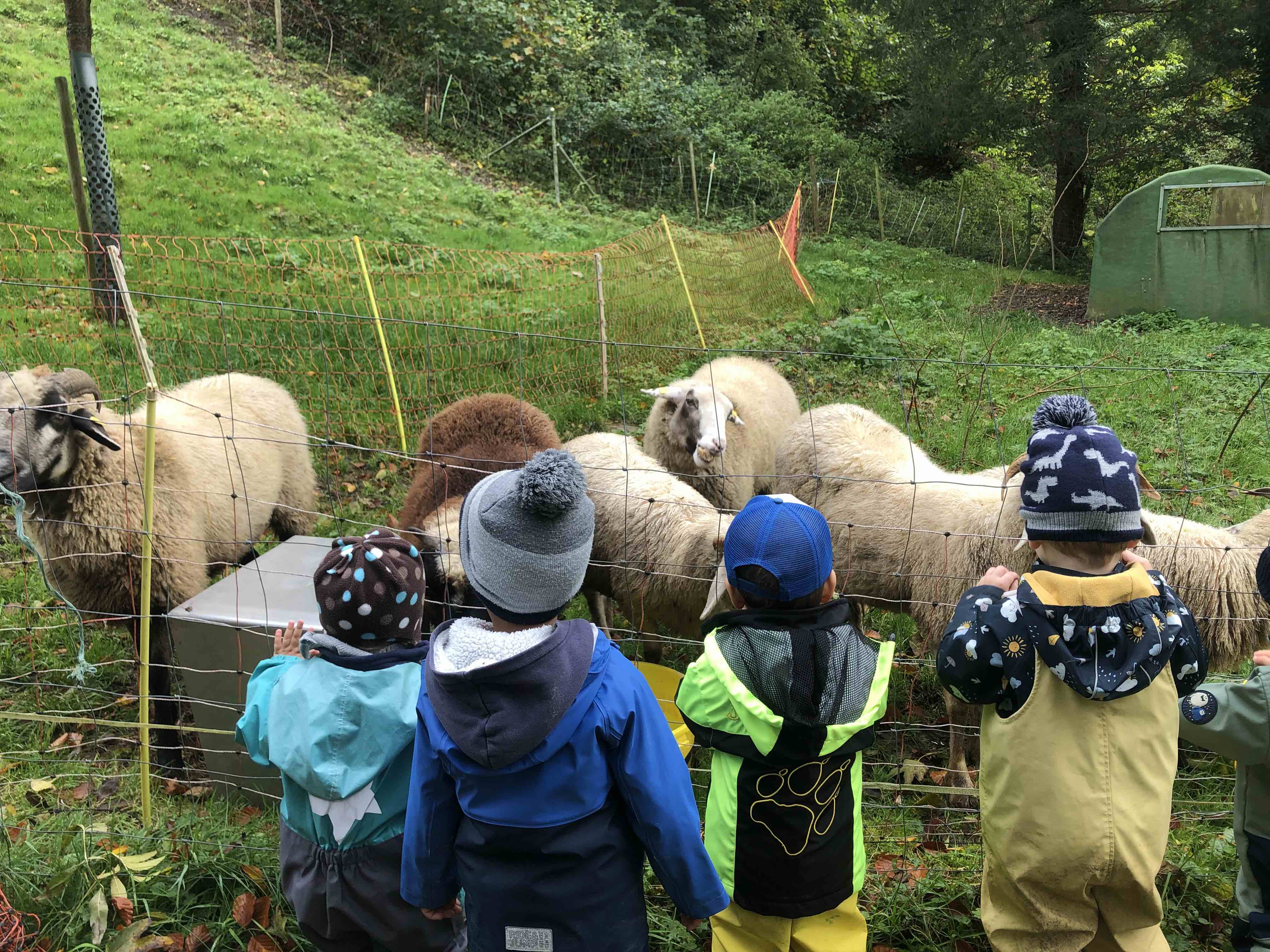 Teaser-Bild der Veranstaltung